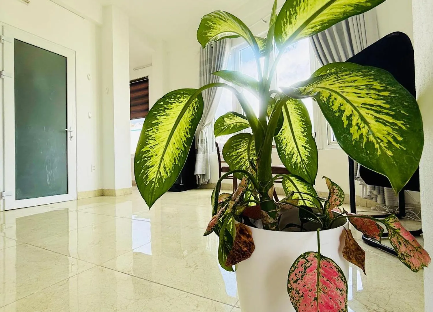 Next Studio Apartments Da Nang 0*,